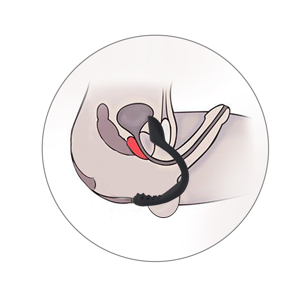 Penis Ring Physical Sperm Locking Ring
